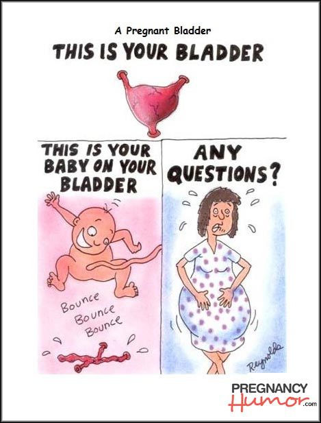 My pregnancy bladder